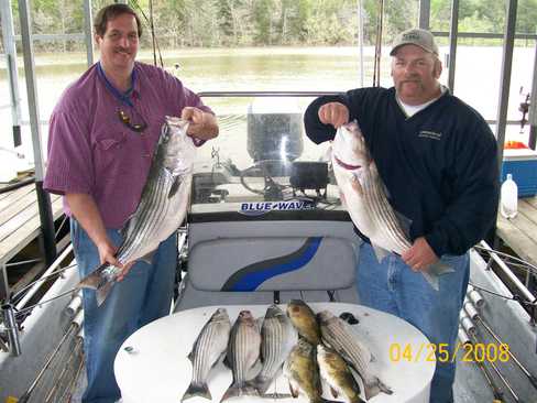 Nice Striped Bass