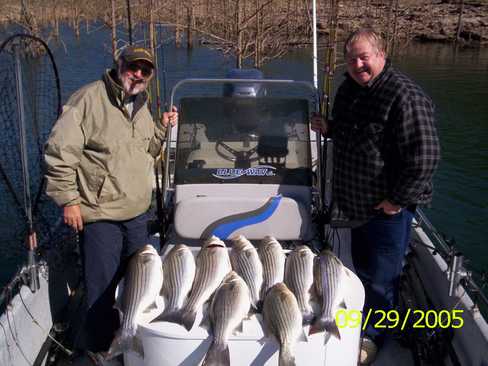 Nice Striped Bass