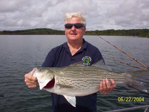 Nice Striped Bass