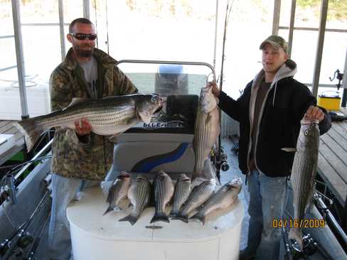 Nice Striped Bass