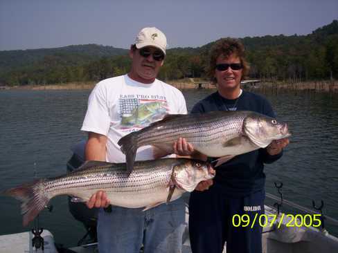 Nice Striped Bass