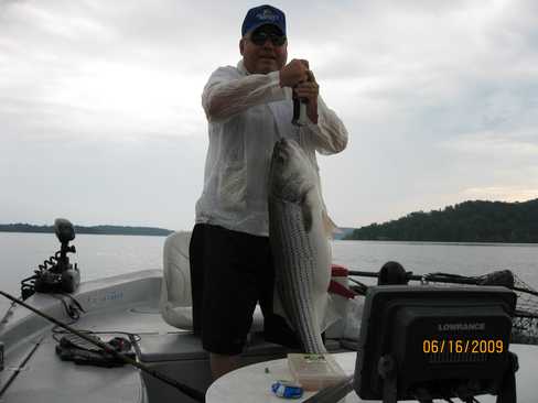 Nice Striped Bass