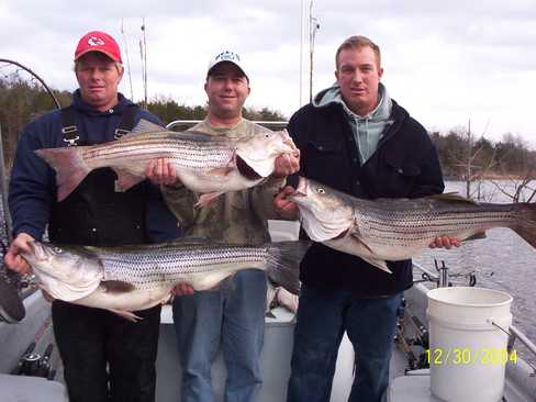 These could be your Stripers