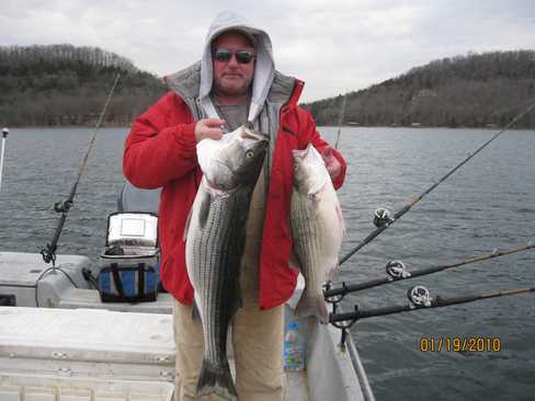 Nice Striped Bass