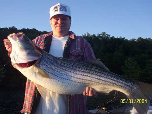 Nice Striped Bass