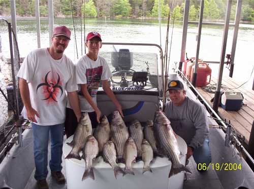 Nice Striped Bass