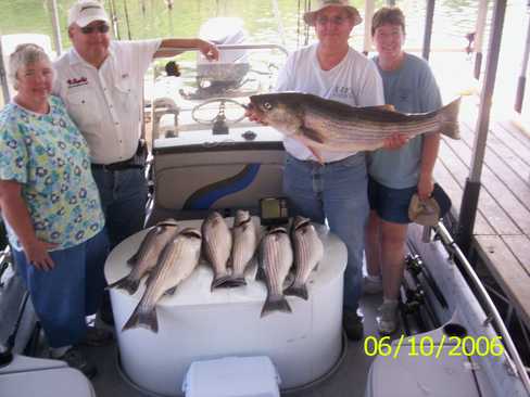 Nice Striped Bass