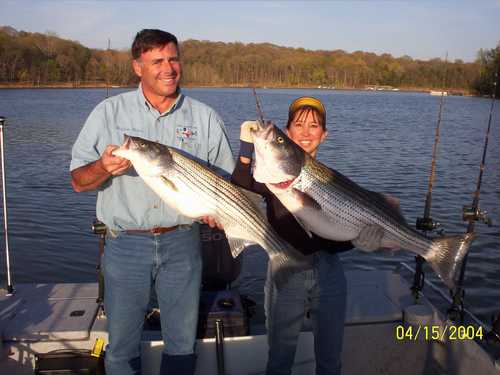 Nice Striped Bass