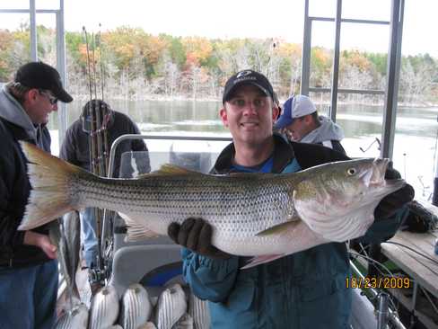 Nice Striped Bass