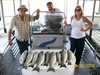 (09/28/2008) - Nice Striped Bass