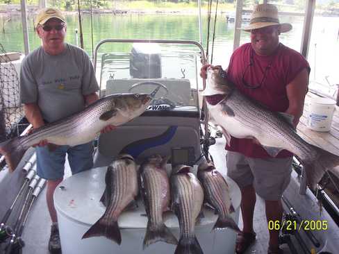 Striper fishing at it's best