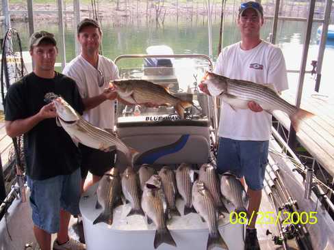 Nice Striped Bass