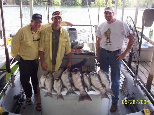 Nice Striped Bass