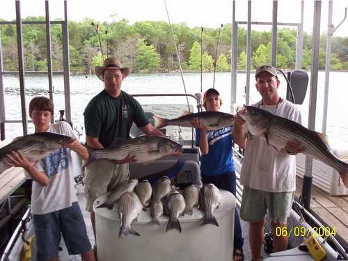 Nice Striped Bass