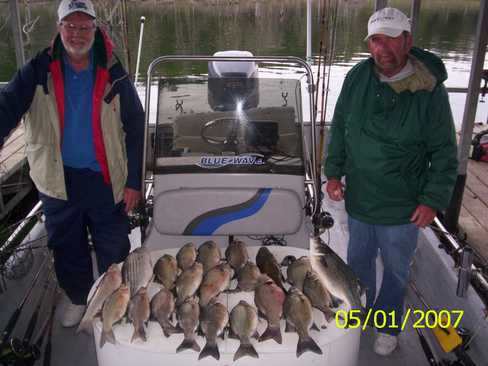 Nice Striped Bass