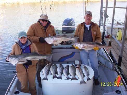 Nice Striped Bass