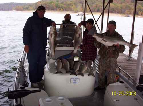 Nice Striped Bass