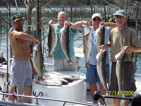 Nice Striped Bass