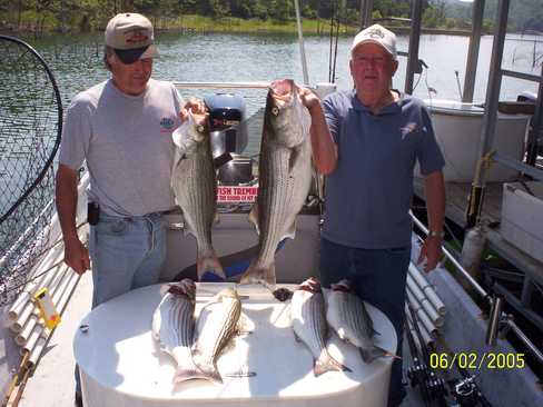 Nice Striped Bass