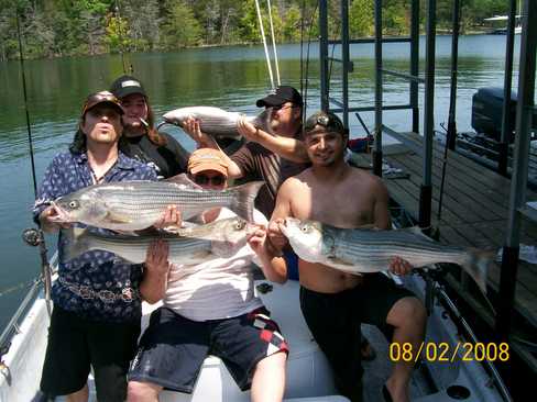 Nice Striped Bass