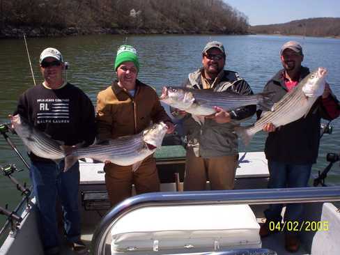 Nice Striped Bass