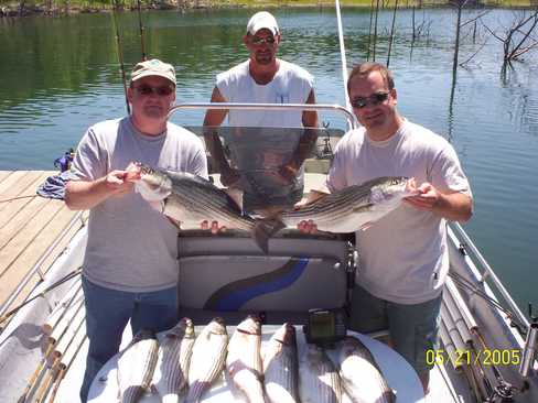 Nice Striped Bass