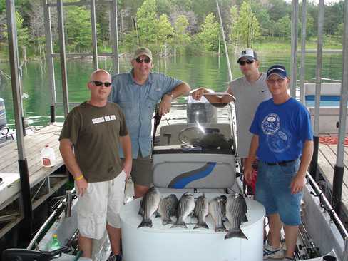 Nice Striped Bass