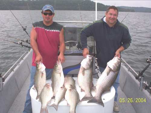 Nice Striped Bass