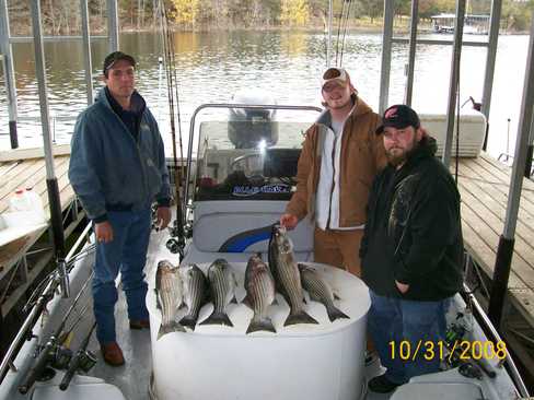 Nice Striped Bass