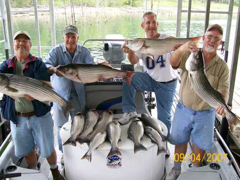 Nice Striped Bass