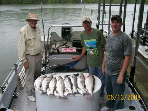 Nice Striped Bass