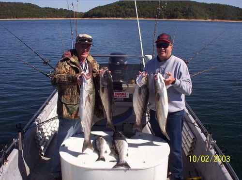 Nice mess of Stripers