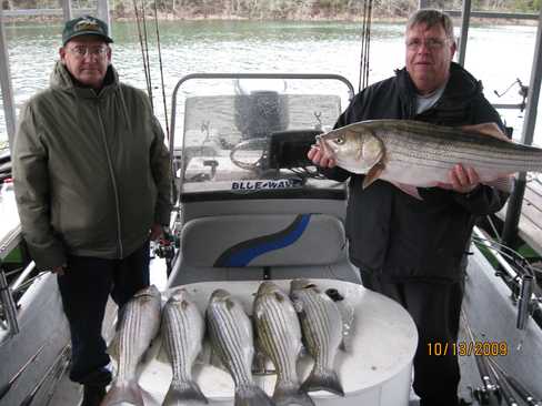 Nice Striped Bass