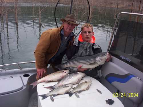 Nice Striped Bass