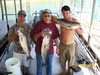 (09/29/2007) - Nice Striped Bass