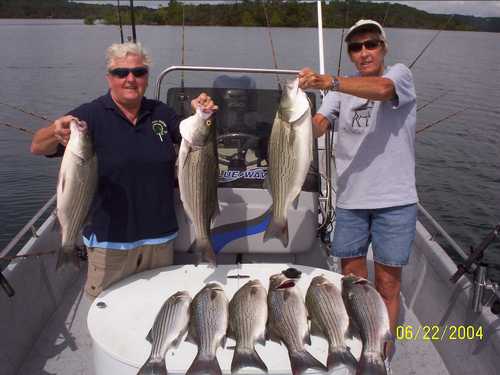 Nice Striped Bass