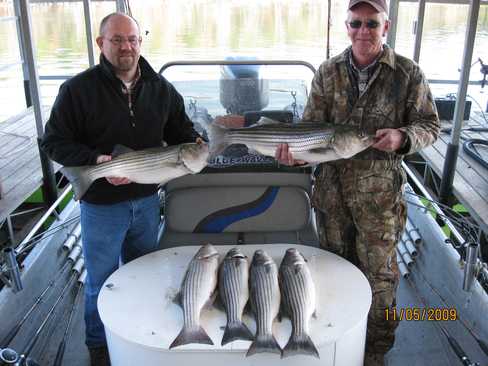 Nice Striped Bass