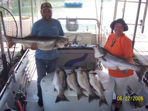 Nice Striped Bass