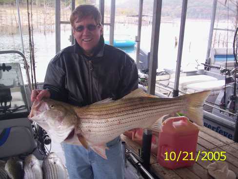 Nice Striped Bass