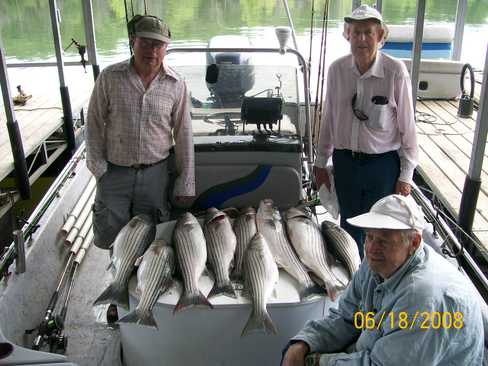 Nice Striped Bass