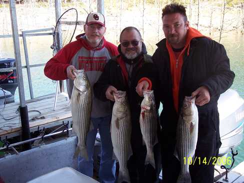 Nice Striped Bass