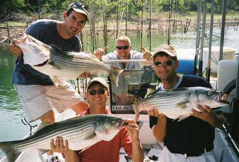 Nice Striped Bass