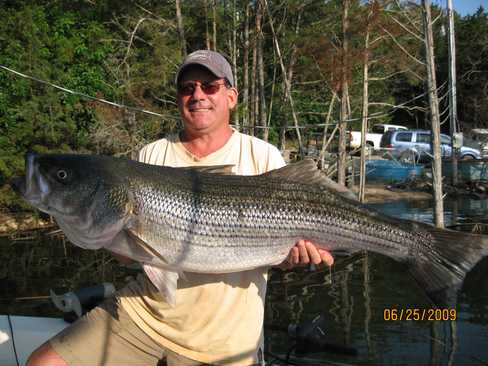 Now that is a Hog Striper