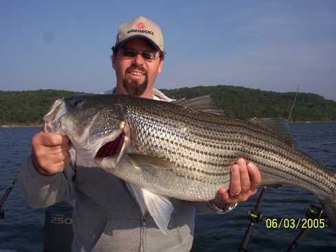 Nice Striped Bass