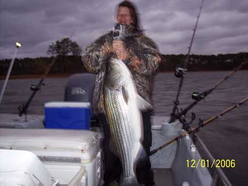 Nice Striped Bass