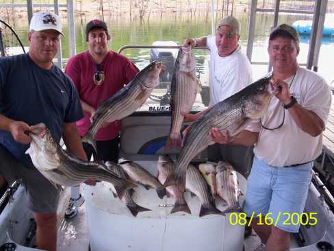 Nice Striped Bass