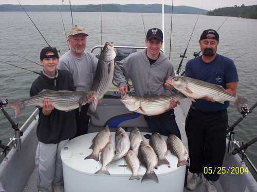 Nice Striped Bass