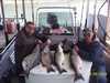 (04/08/2004) - Nice Striped Bass