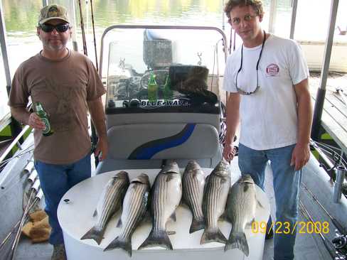 Nice Striped Bass