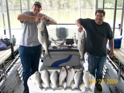 Nice Striped Bass